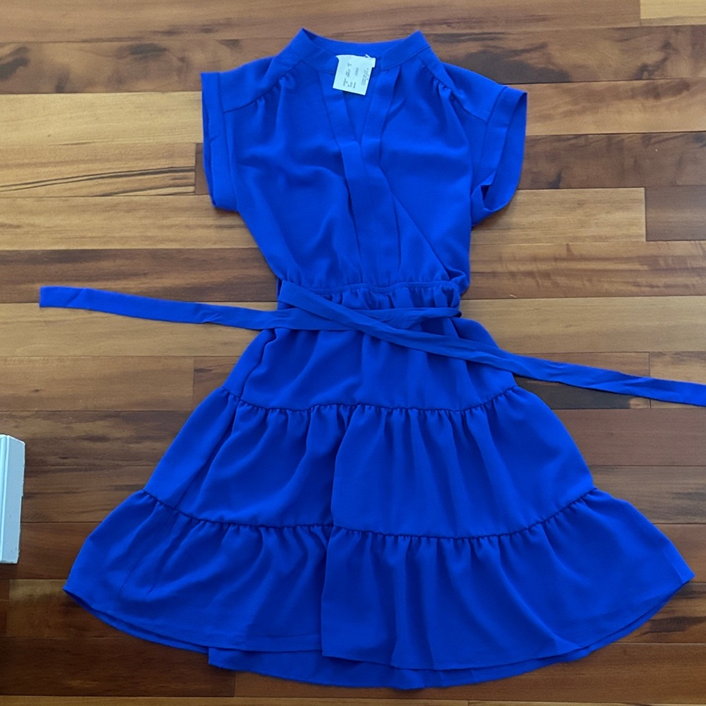 Monteau Blue Dress BNWT